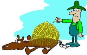 $620 million for a new Travis County Expo Center!